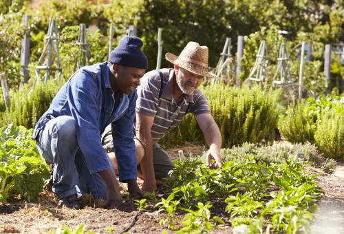 Two men gardening